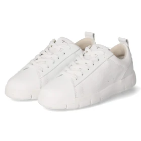 Low Sneaker - WHITE LEATHER