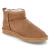Winterstiefeletten - chestnut