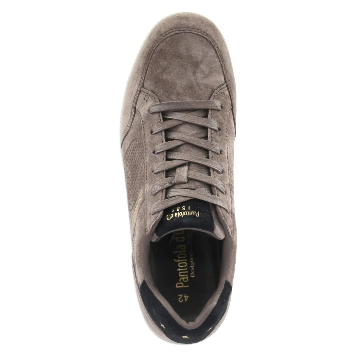 Low Sneaker VELO - taupe/black