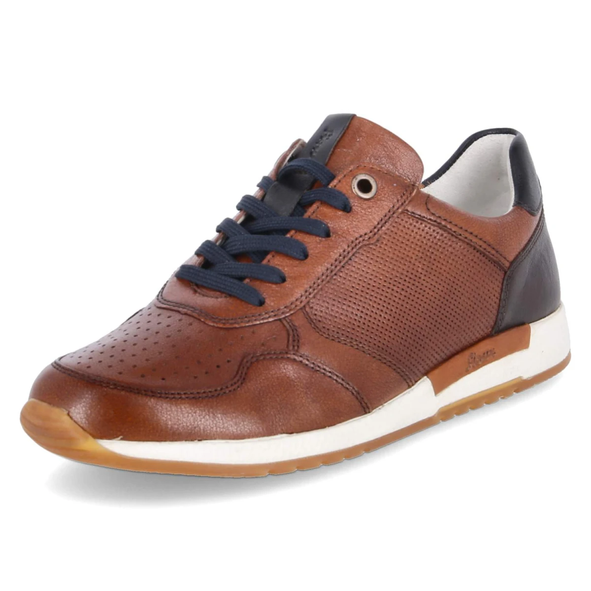Low Sneaker ROJARO - cognac/testa-di-m.