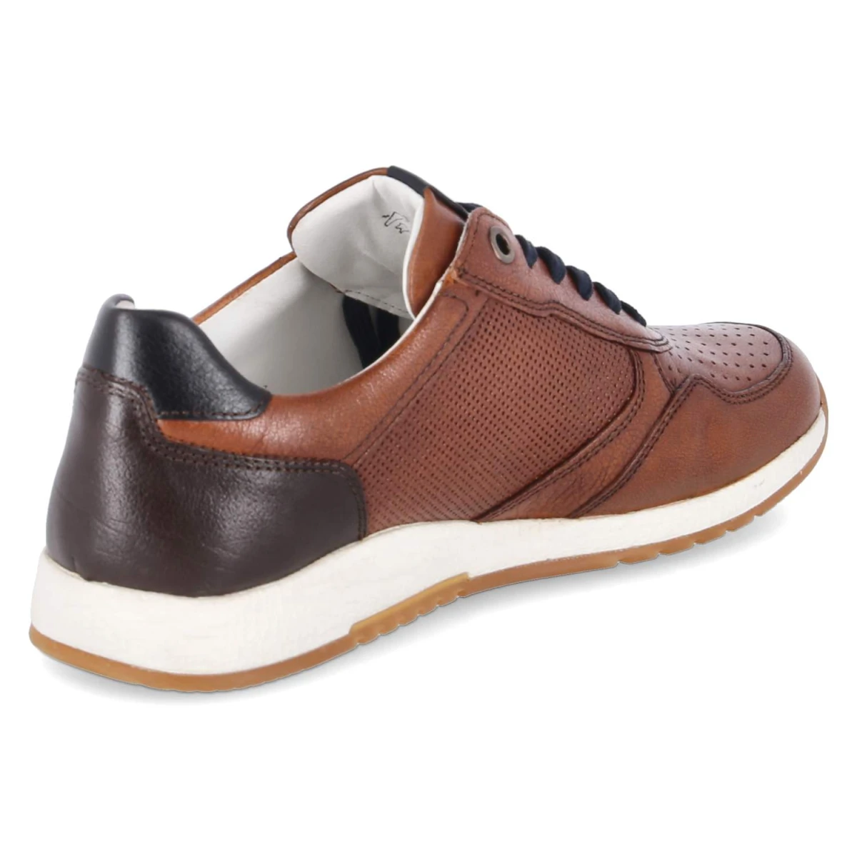 Low Sneaker ROJARO - cognac/testa-di-m.