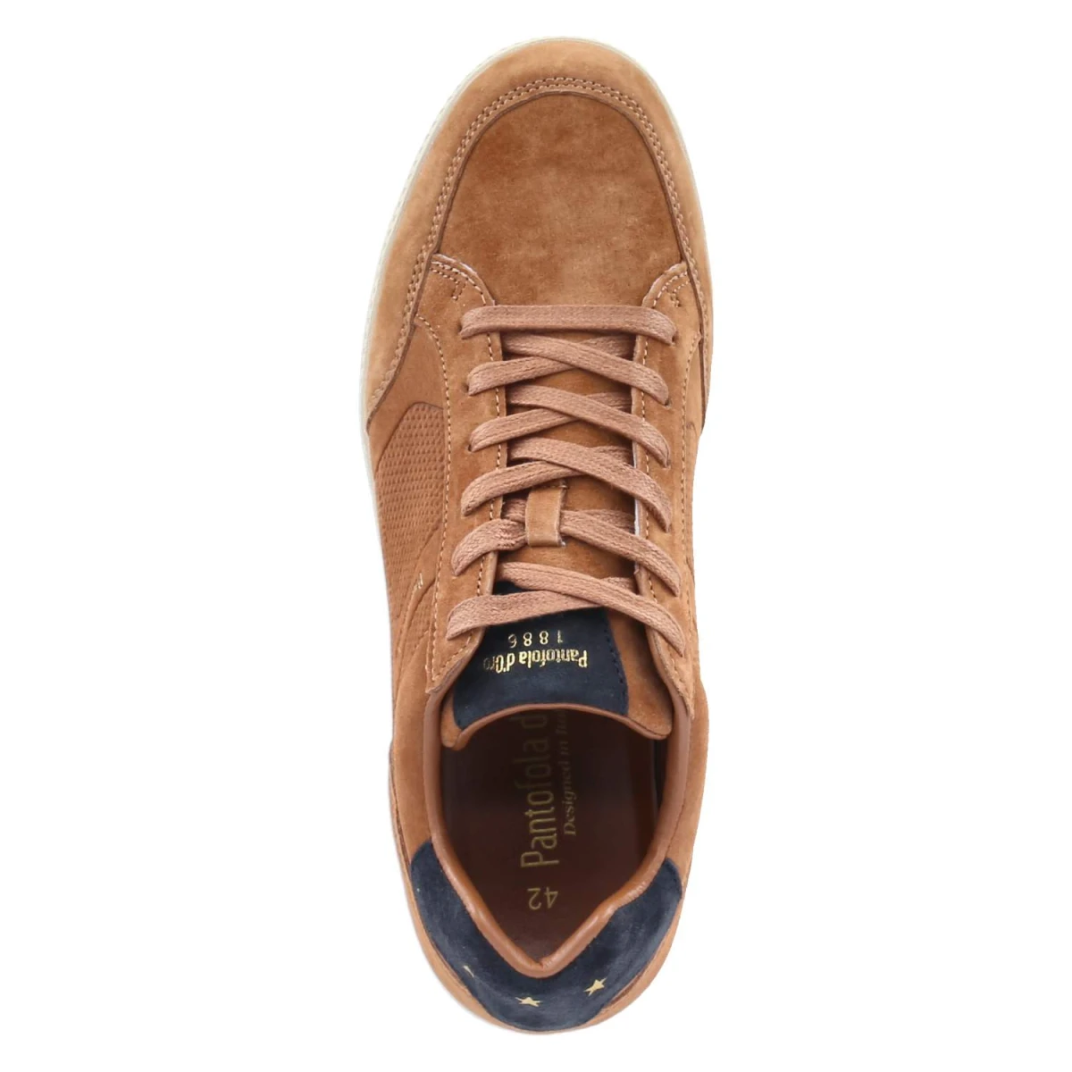 Low Sneaker VELO - cognac/navy