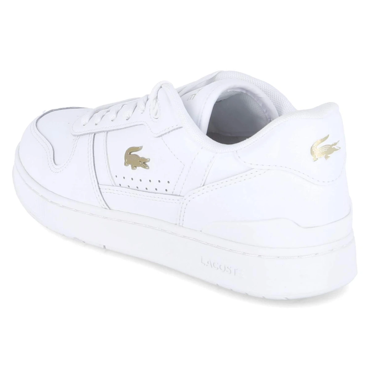 Low Sneaker T-CLIP SET - wht/gld