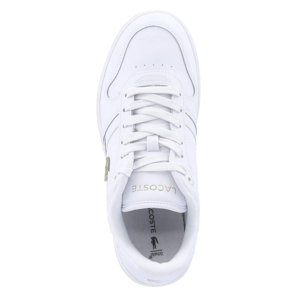 Low Sneaker T-CLIP SET - wht/gld
