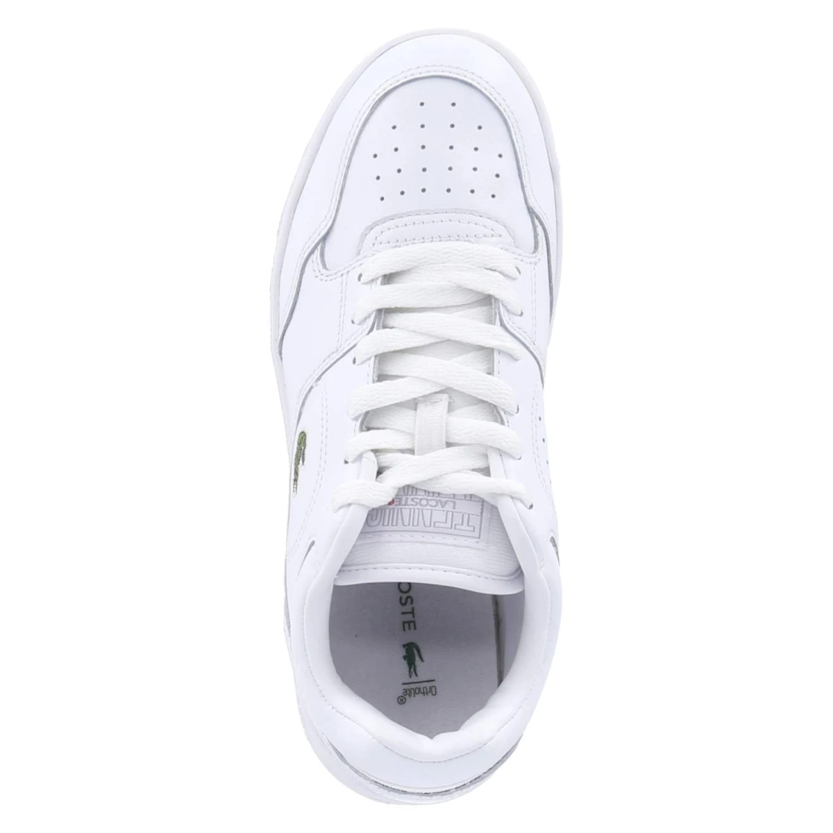 Low Sneaker LINEDRIVE - wht/wht