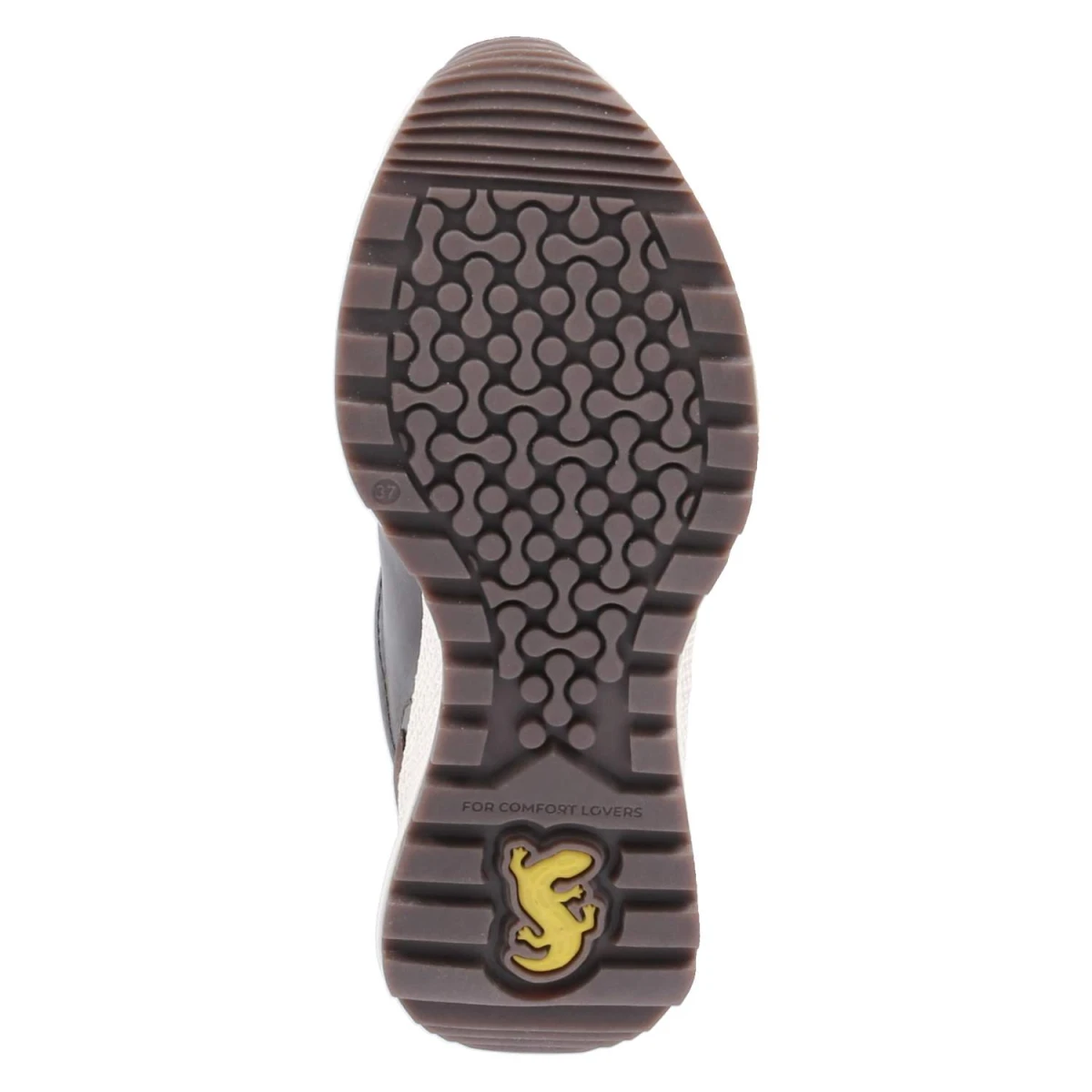 Low Sneaker - dark brown / brown