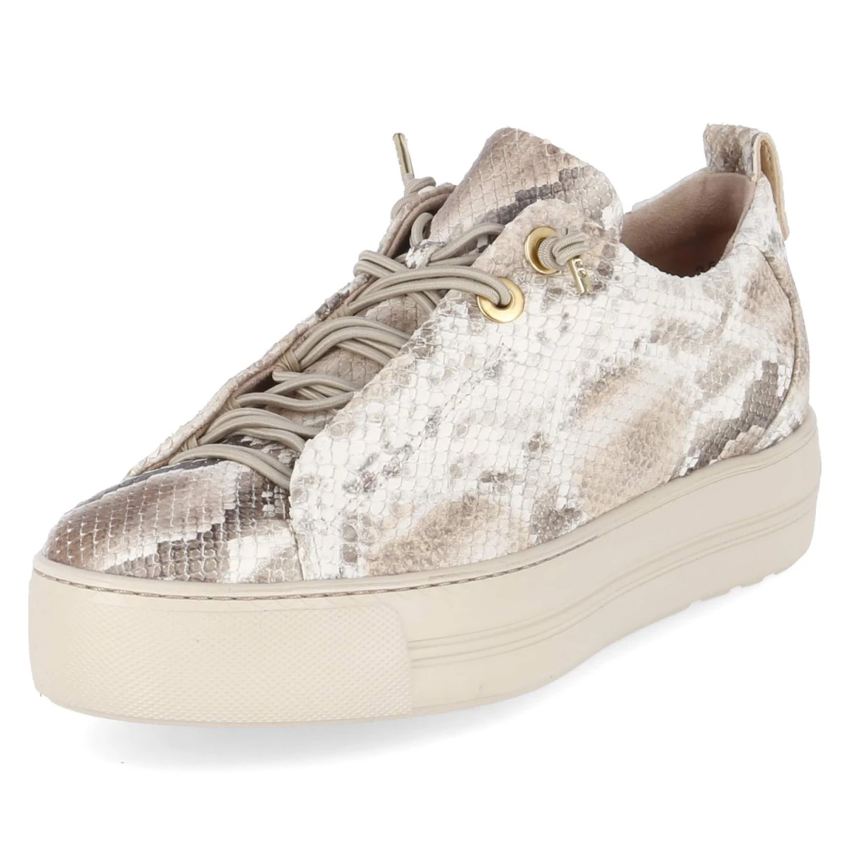 Low Sneaker - Boa Antic Biscuit