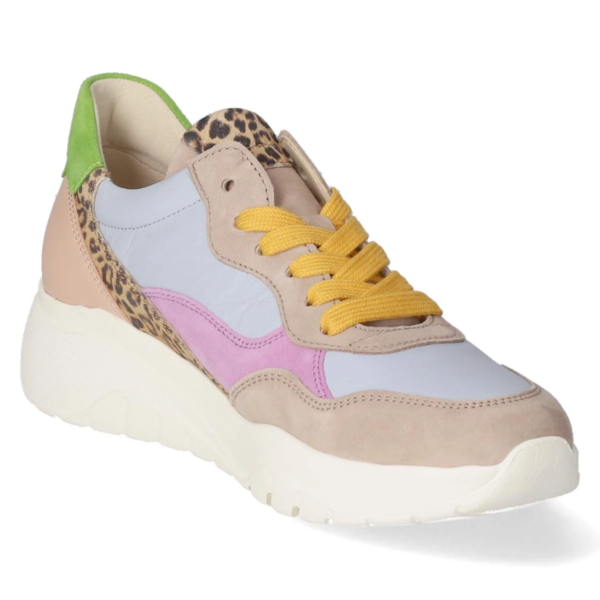 Low Sneaker - rabbit-multi-kombi