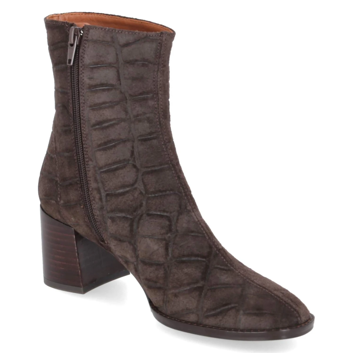 Ankle Boots - marron